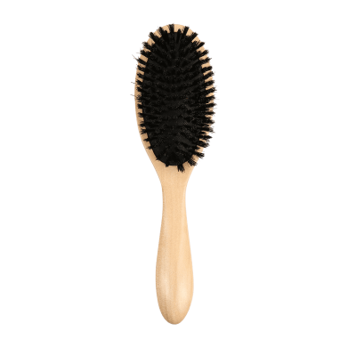 Brosse ovale